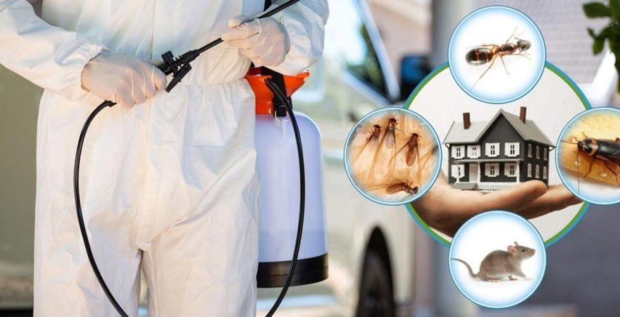 Ilgın Böcek İlaçlama