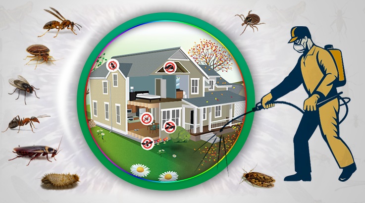 Ilgın Böcek İlaçlama