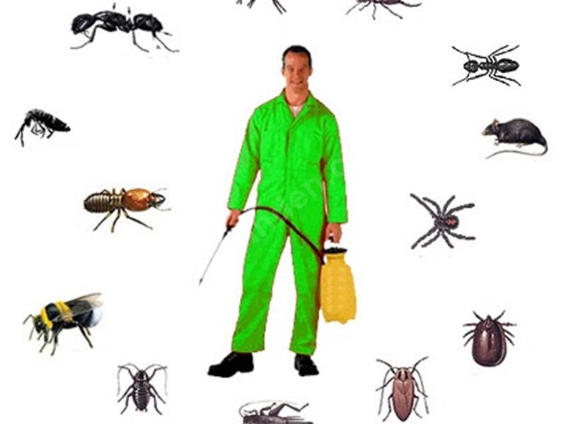 Ilgın Böcek İlaçlama